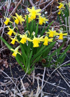 IMG_20210405_103926-s2